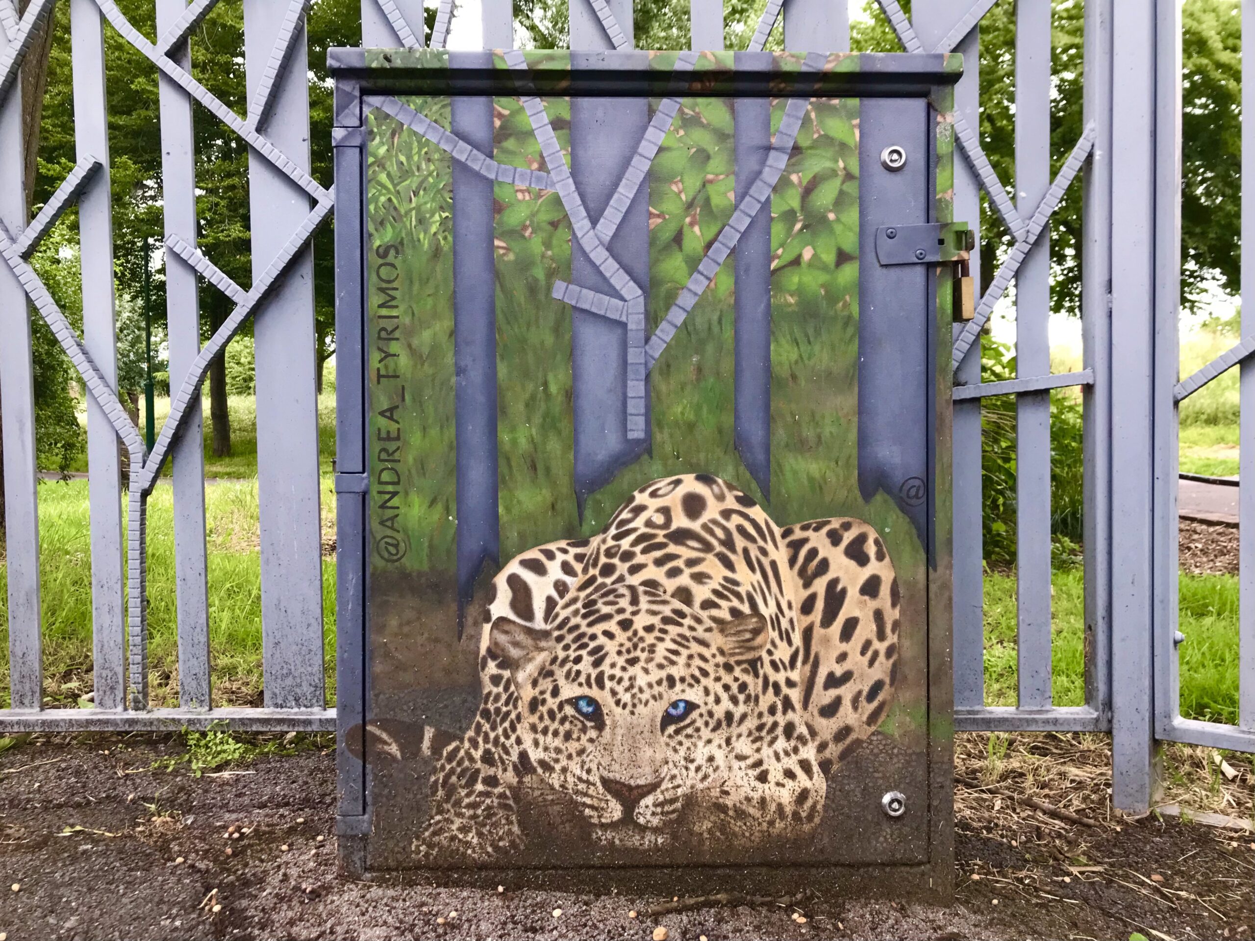 Painted leopard outside Pasley Park